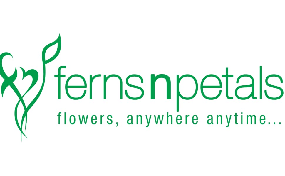 Companie Logo