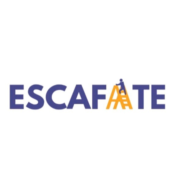 Companie Logo