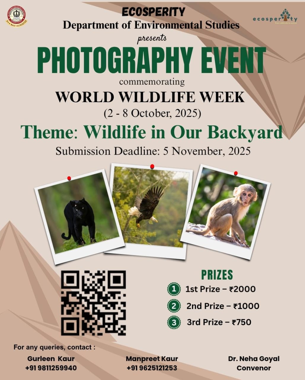 Photography Event
